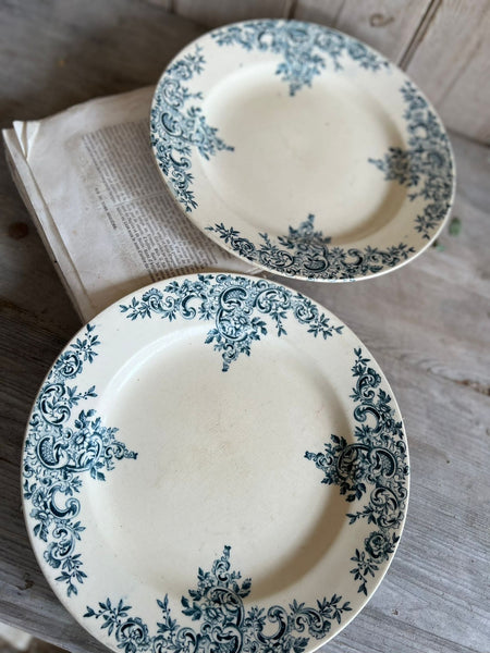 Terre De Fer Floral Plates