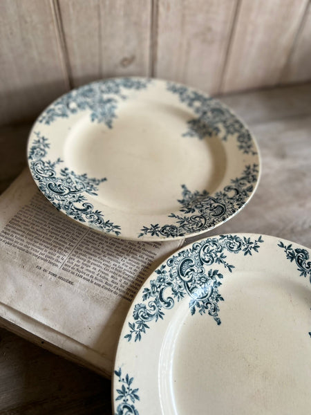 Terre De Fer Floral Plates