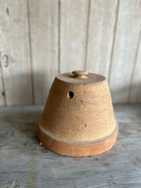 Terracota Cloche