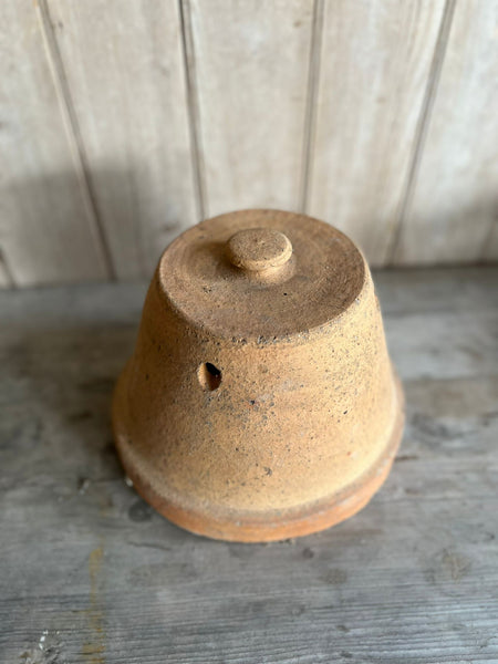 Terracota Cloche