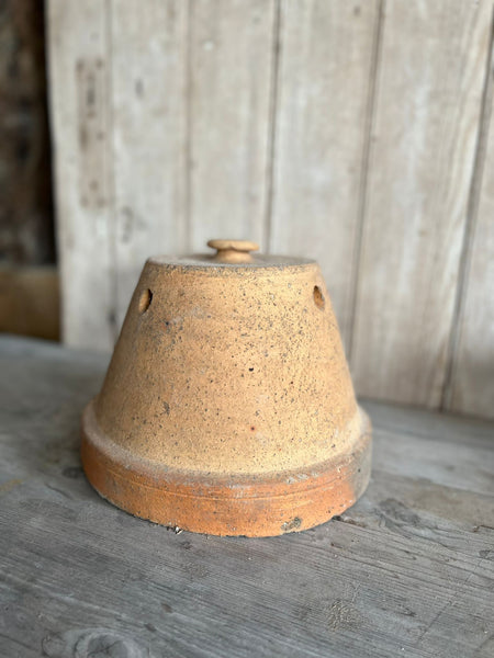 Terracota Cloche