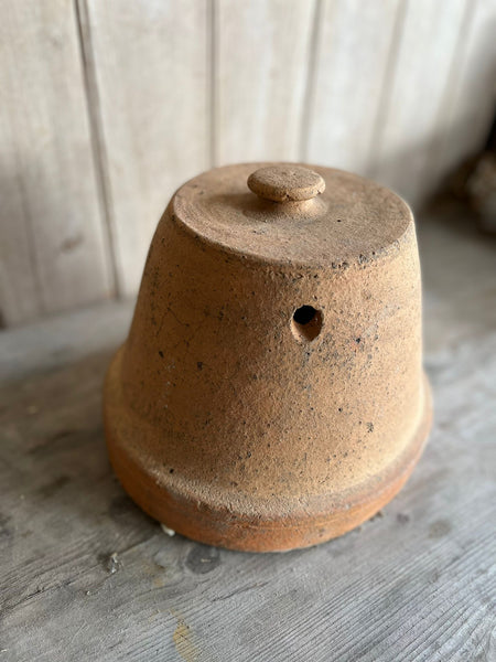 Terracota Cloche