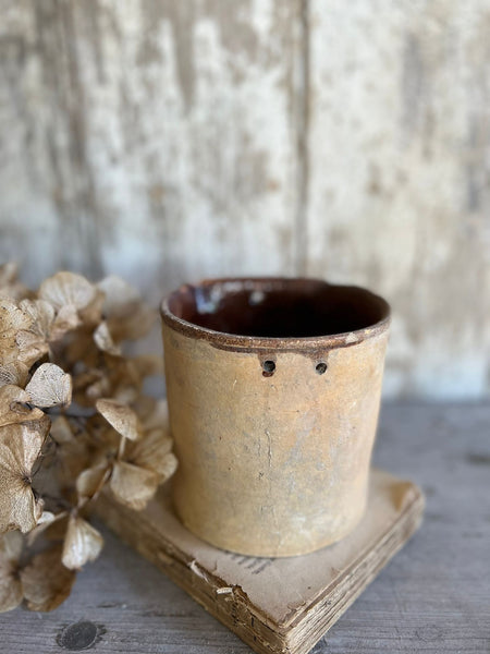 Rustic Earthenware Pot
