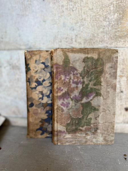 Stunning French Vintage Books
