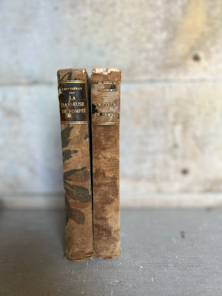 Stunning French Vintage Books