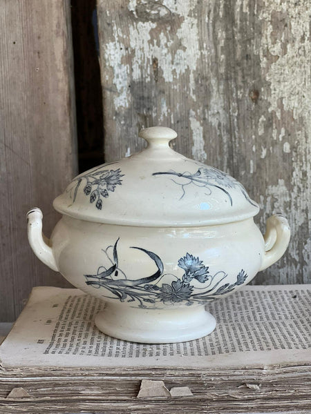 Gorgeous Floral Transferware Tureen
