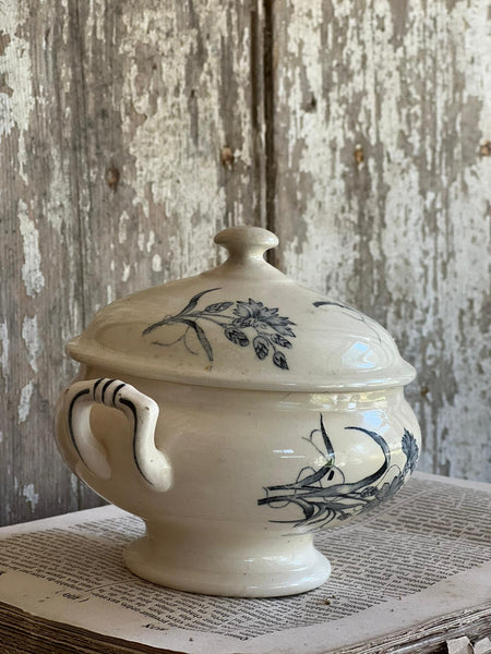 Gorgeous Floral Transferware Tureen