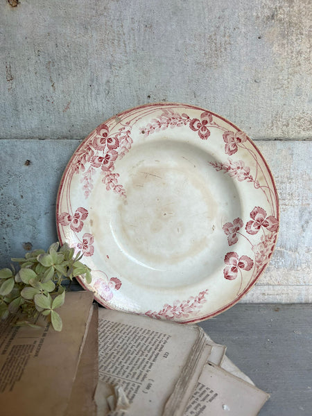 Terre de Fer French Shabby Chic Dish