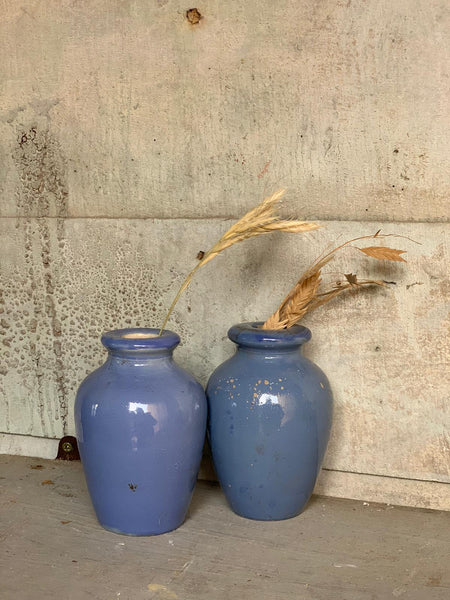 Ronuks Blue Polish Bottles