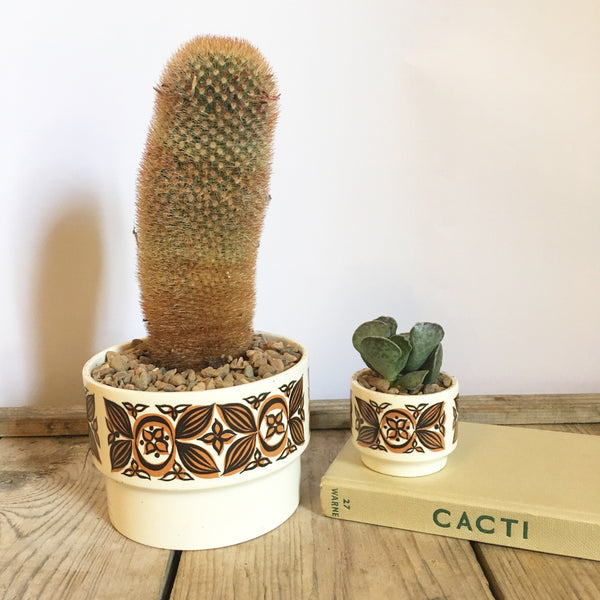 Vintage Hornsea Potted Matching Cacti & Succulent