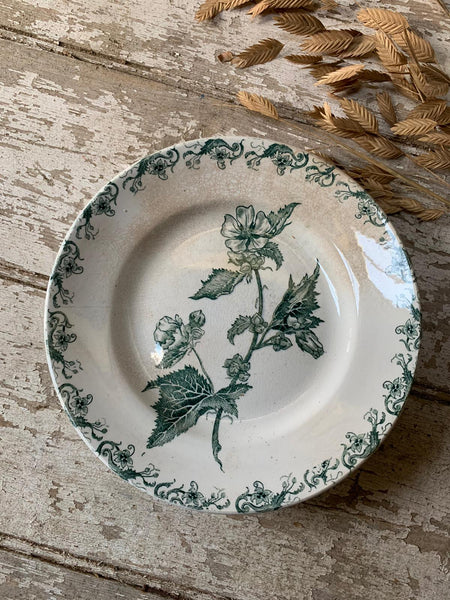 Beautiful French Vintage Transferware Plate