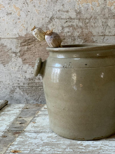 French Confit Jar Medium
