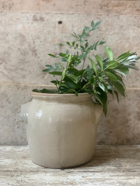 French Confit Jar Small