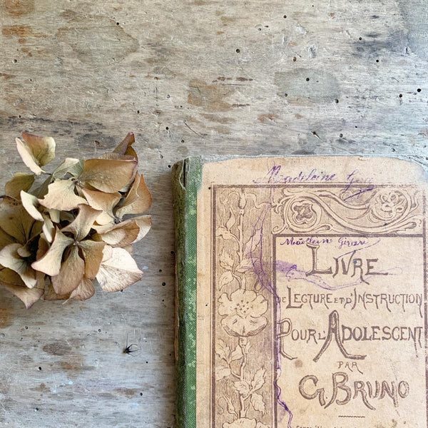 Shabby Chic French Book
