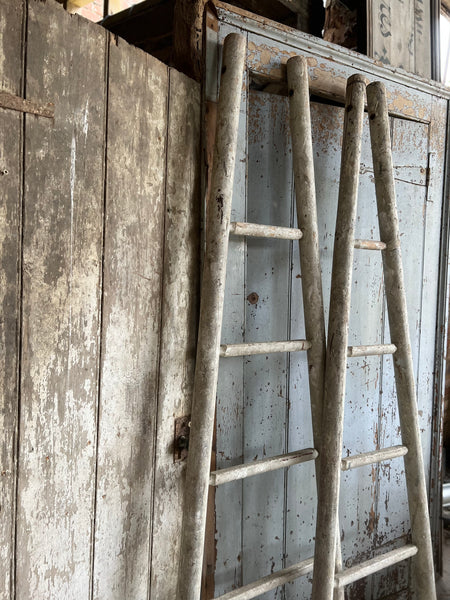 Pair of chippy paint fruit picking ladders