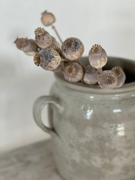 Handled French Confit Jar