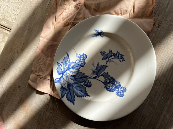 Gorgeous Vintage French Longwy Berries Plate