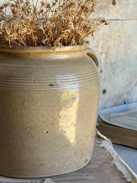 Handled French Confit Jar Small