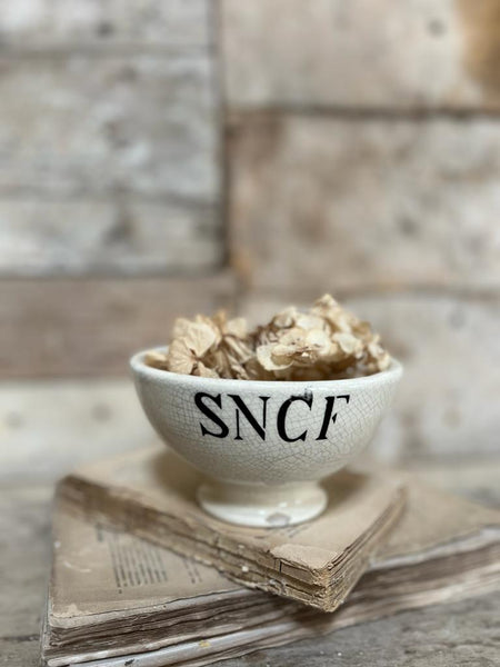 Rare Antique French Transferware Railway Bowl