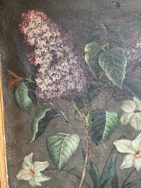 Stunning Lilac on Canvas