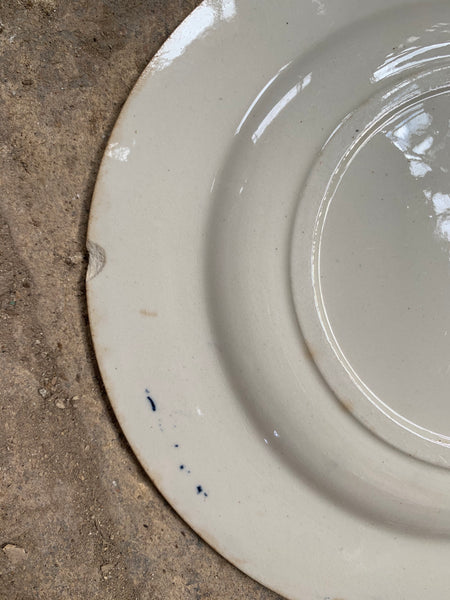 Gorgeous Vintage French Sarreguemines Berries Plate