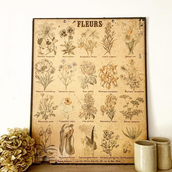 Flowers Vintage French Poster