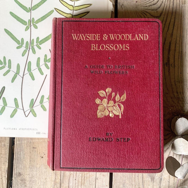 Wayside & Woodland Blossoms by Edward Step