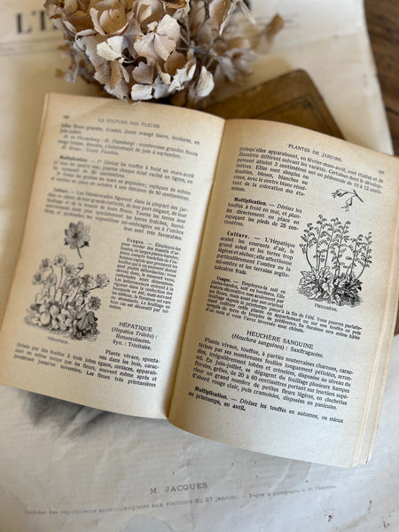 Vintage French Fleurs Book 1932