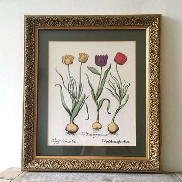Framed Vintage Fun Botanical Wall Art (tulips)