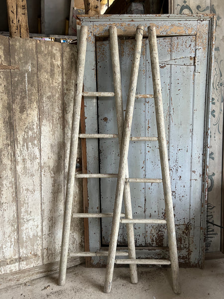 Pair of chippy paint fruit picking ladders