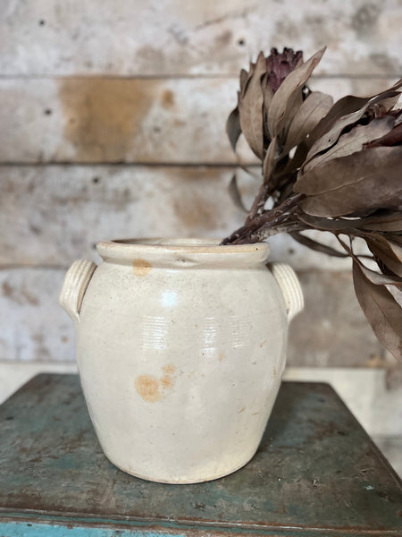 Large Confit Jar