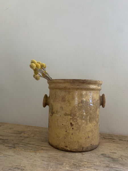Large Vintage French Preserves Jar