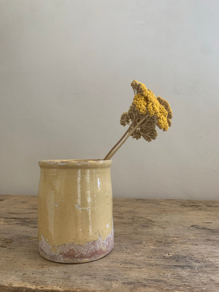 Vintage French Preserves Jar