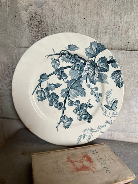 Antique French Terre De Fer Transferware Plate