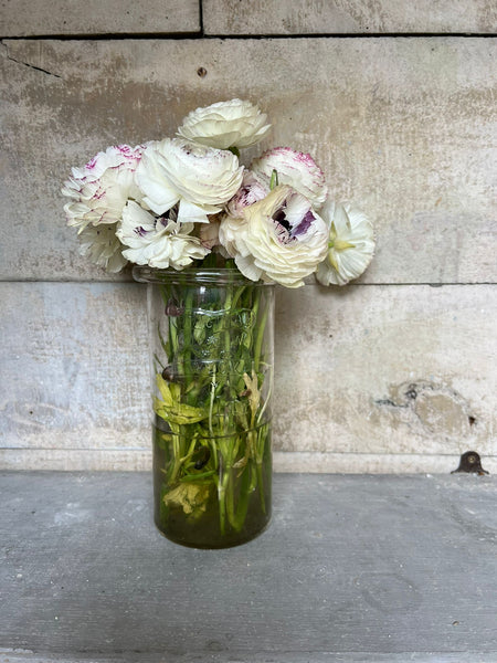 French Vintage Glass Weck Preserves Jar