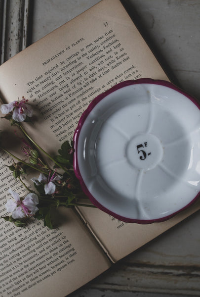 Pink French Vintage Crudite Dish