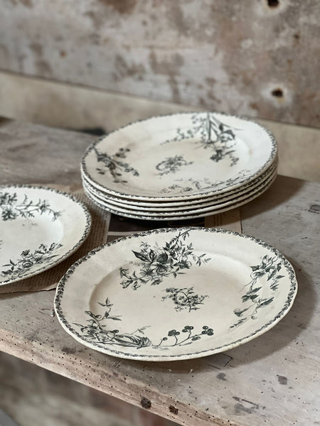 Vintage Transferware Terre de Fer Plates