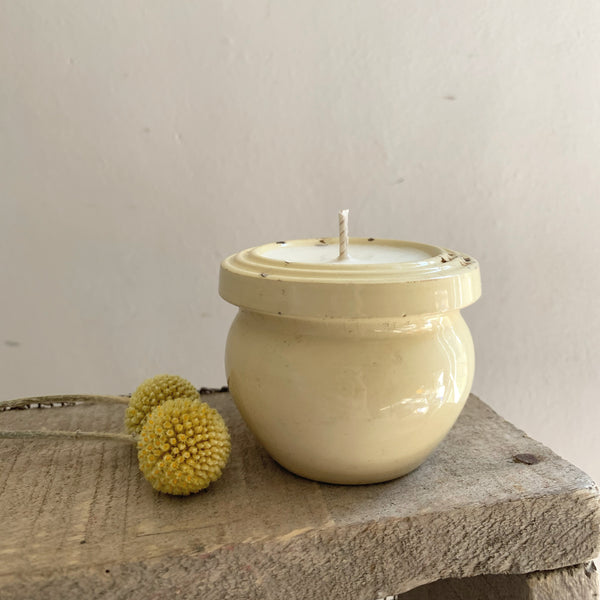 Rustic French Pot Candle in Wild Fig