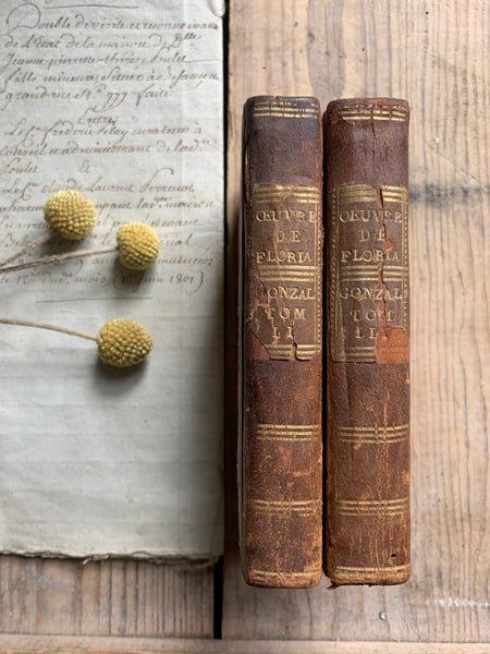 Miniature French Books for Styling