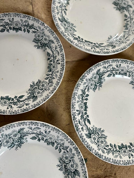 Green French Transferware Plates