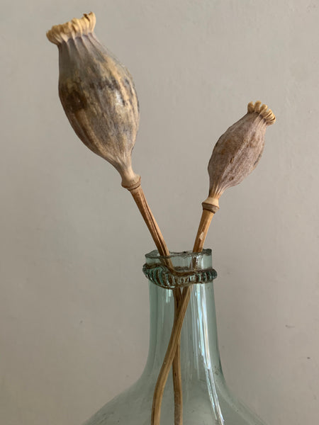 Large Vintage Green Glass Carboy