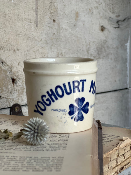 Rare French Vintage Yoghurt Pot
