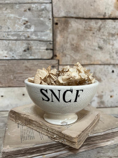 Rare Antique French Transferware Railway Bowl