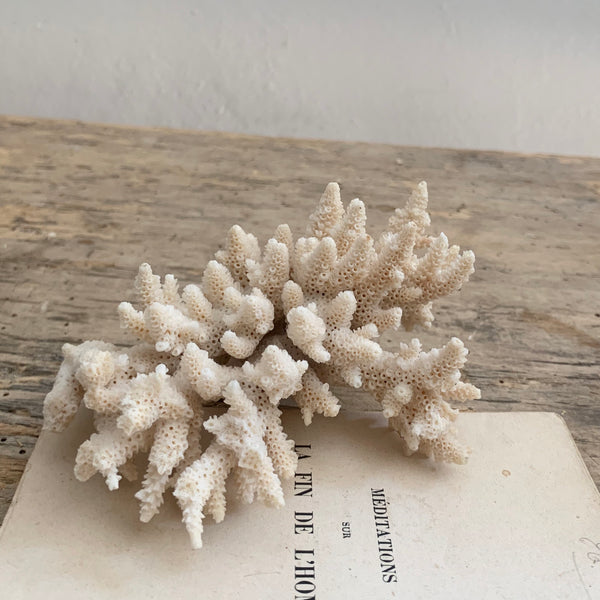 Small Vintage Coral
