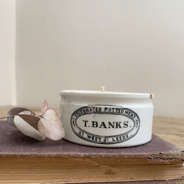 T Banks Potted Meat Candle in Green Tomato Leaf