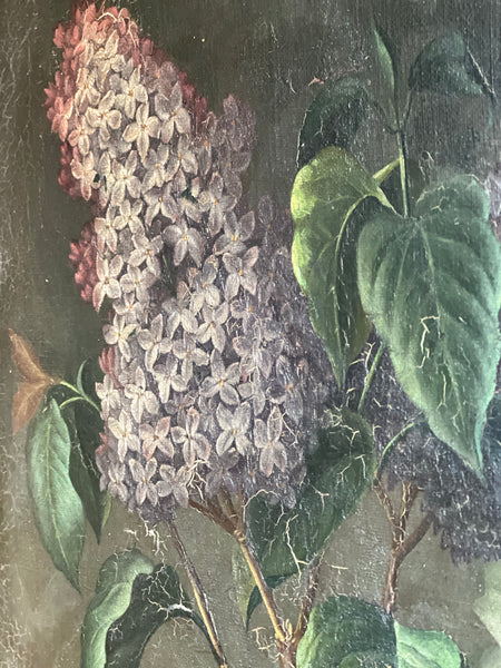 Stunning Lilac on Canvas