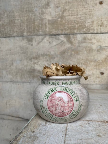 Vintage Creme Lucullus Pot