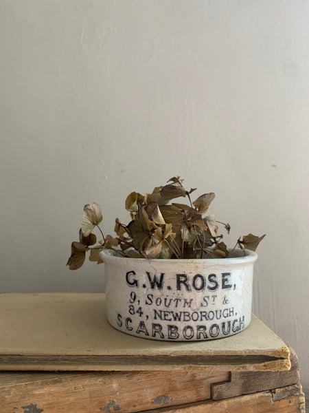 Rose, Scarborough, Vintage Transferware Pot