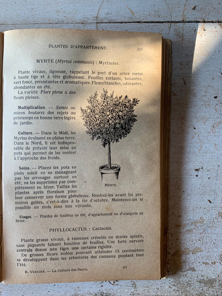 Vintage French Fluers Book