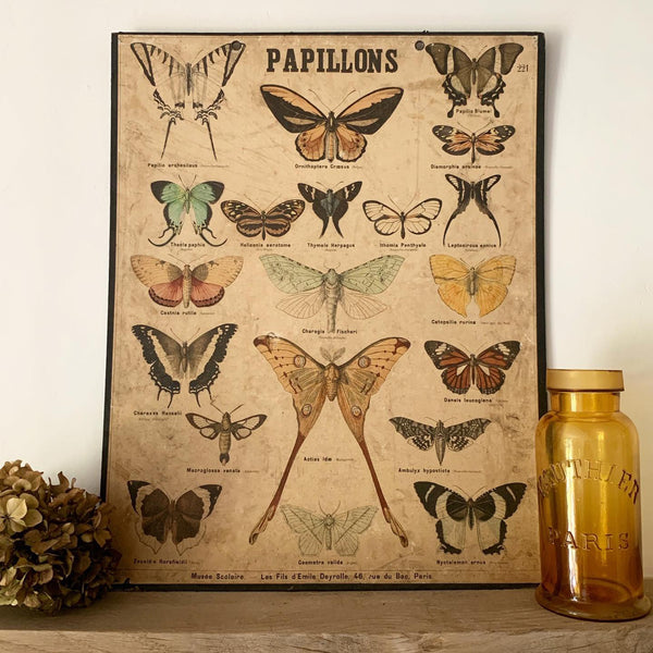 Papillons Vintage French Poster